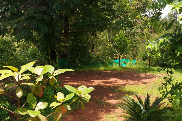 New Cottages Stay at Rafting Point - garden 2