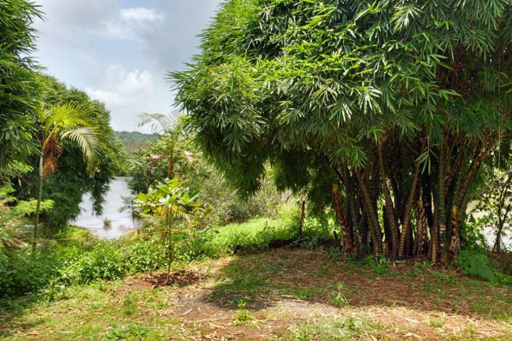 New Cottages Stay at Rafting Point - Garden 4