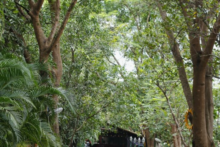 Bungalow Stay at Kolad with Kundalika Rafting with Swimming Pool